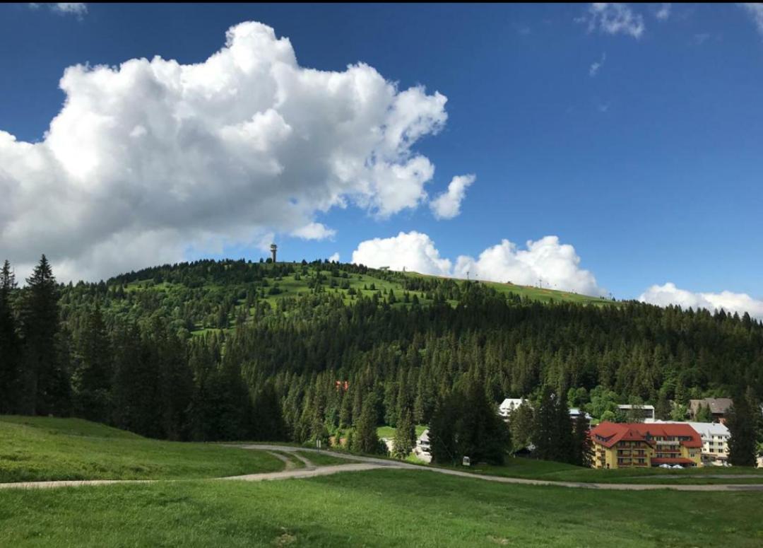 Ferienwohnung Feldberg Mit Whirlpool Direkt An Der Skipiste エクステリア 写真